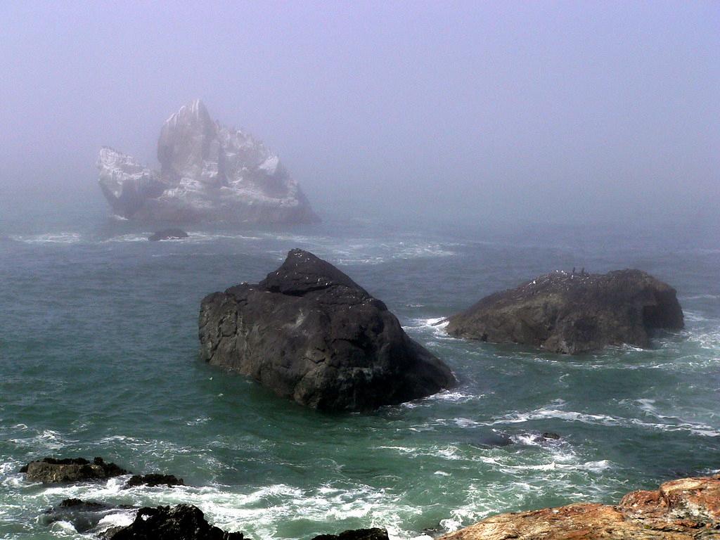 Sandee - Patrick's Point State Park - Palmer's Point