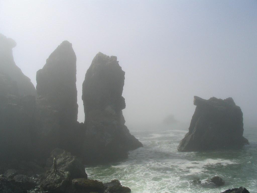 Sandee - Patrick's Point State Park - Palmer's Point