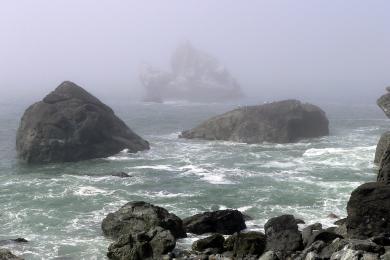 Sandee - Patrick's Point State Park - Palmer's Point