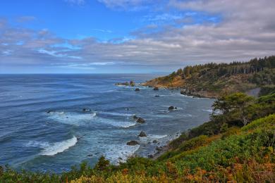 Sandee - Patrick's Point State Park - Wedding Rock