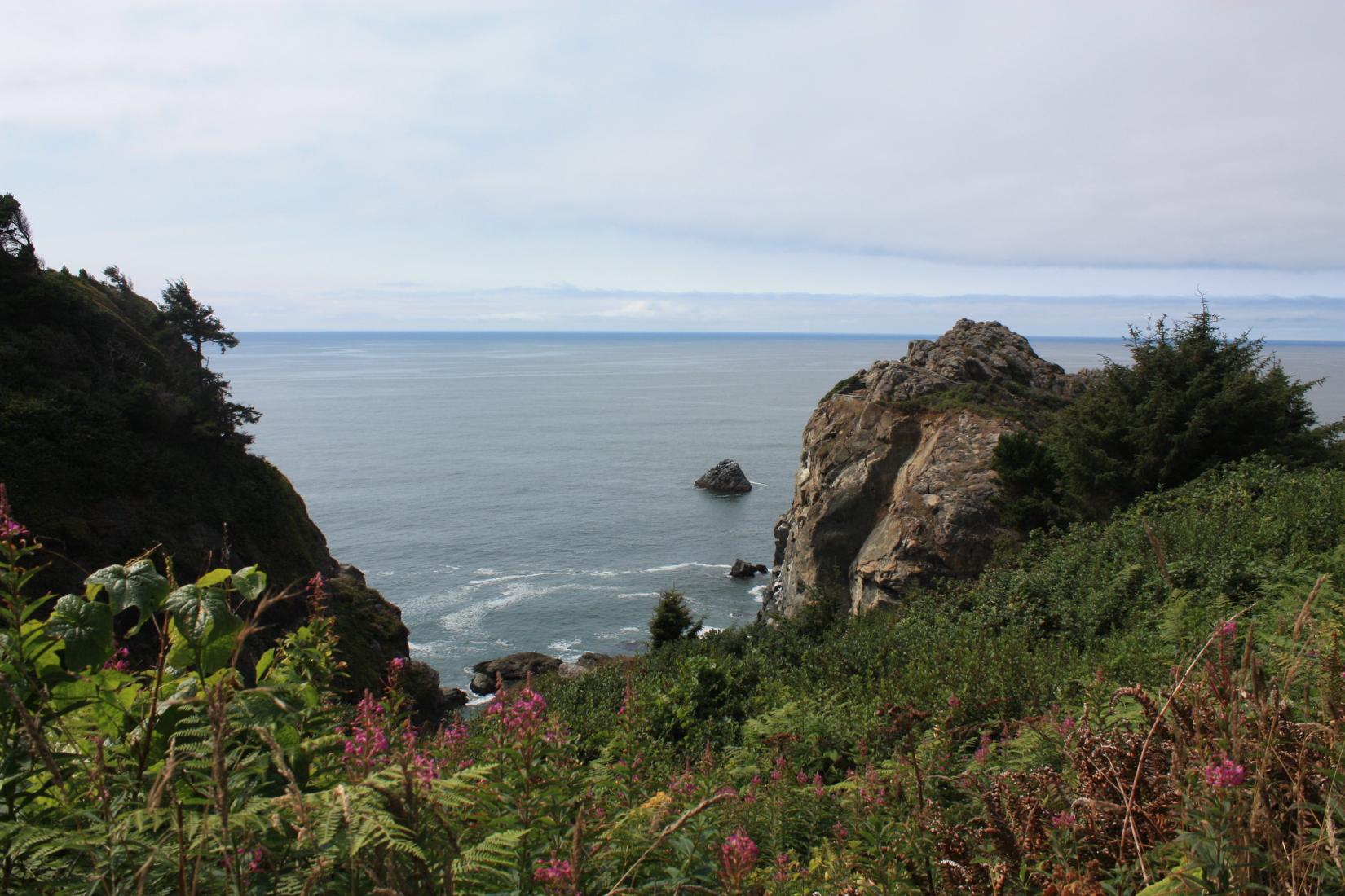 Sandee - Patrick's Point State Park - Wedding Rock