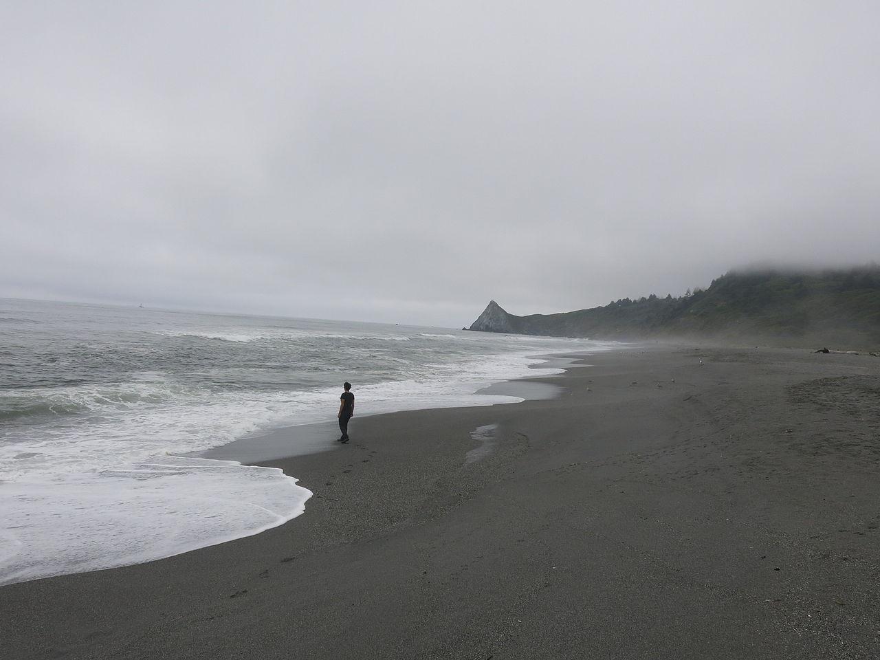 Sandee - Patrick's Point State Park - Wedding Rock