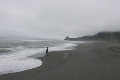 Sandee - Patrick's Point State Park - Wedding Rock