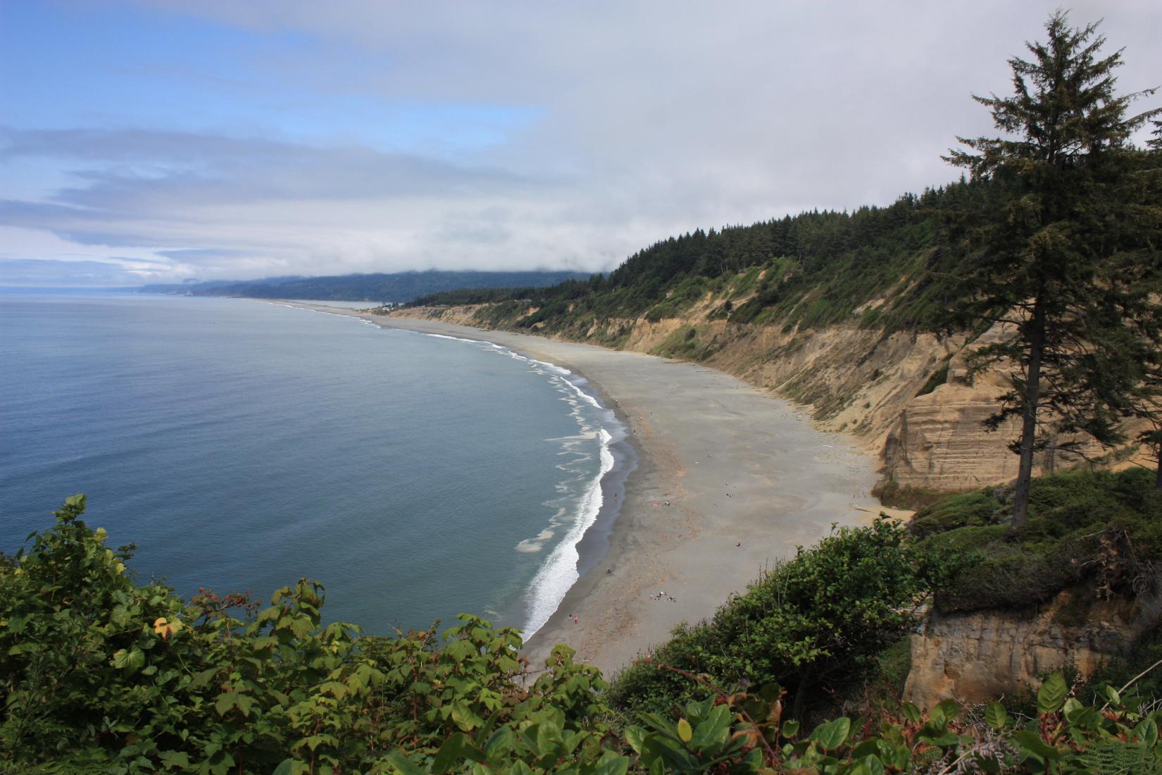 Sandee - Patrick's Point State Park - Wedding Rock