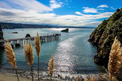 Sandee Trinidad Head Beach Photo