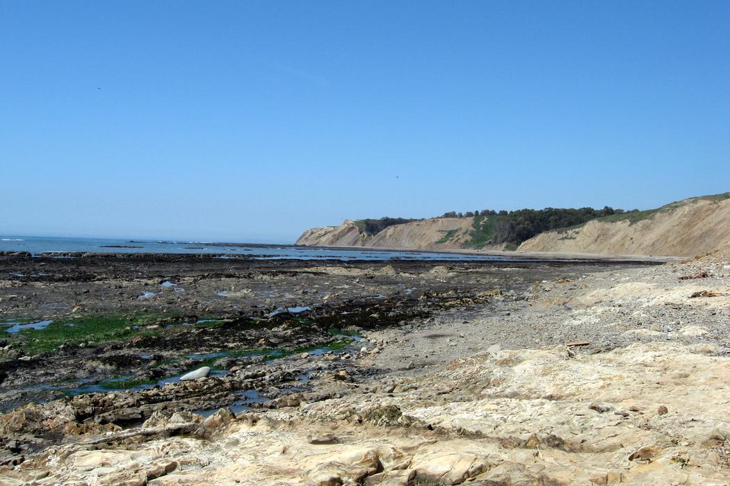 Sandee Agate Beach County Park - Duxbury Reef