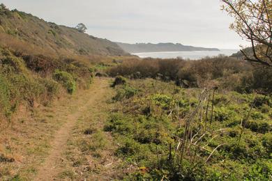 Sandee - Palomarin Beach