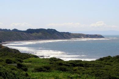 Sandee Palomarin Beach Photo