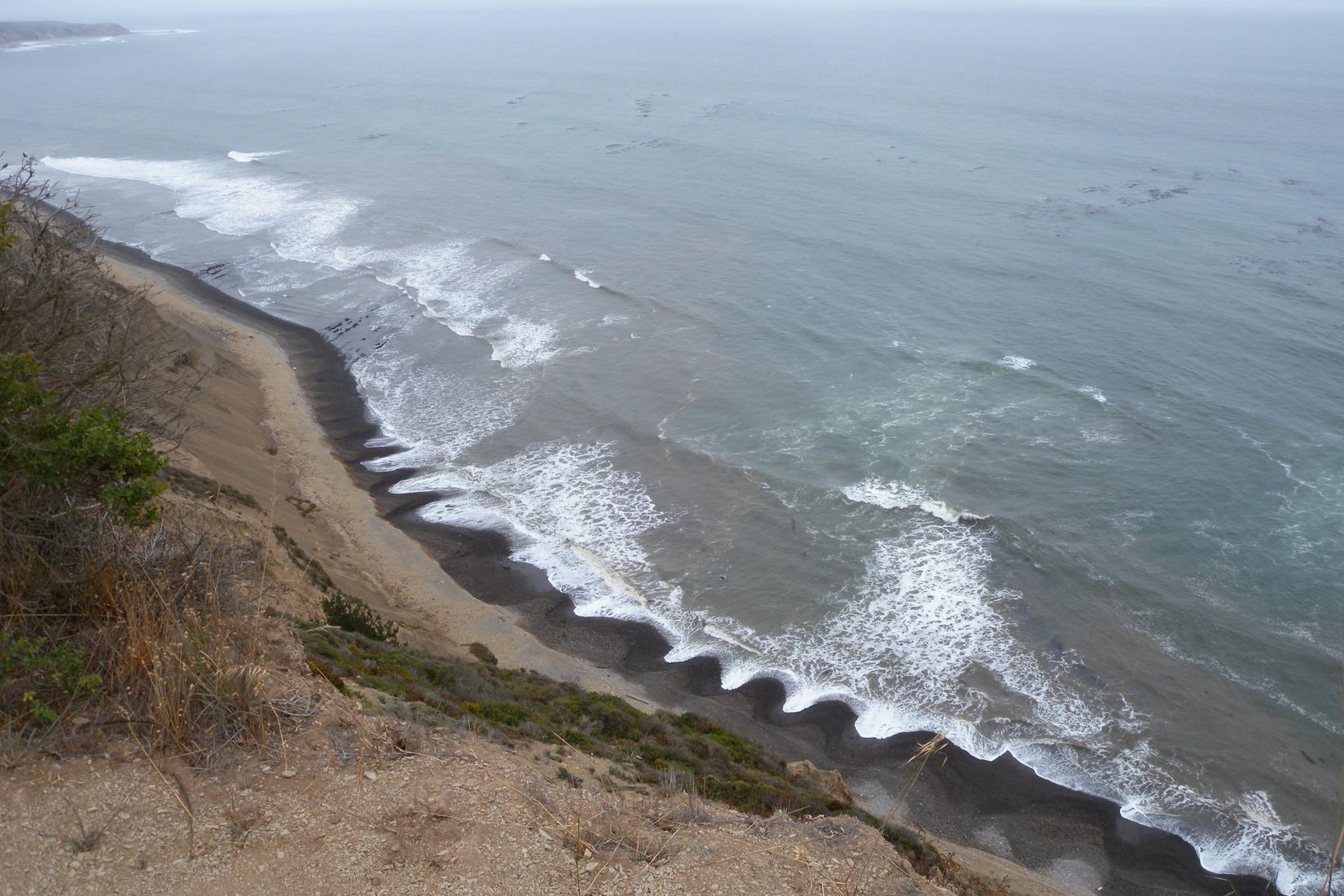 Sandee - Palomarin Beach