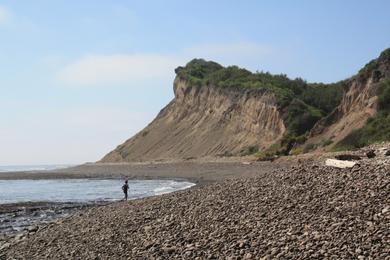 Sandee - Palomarin Beach