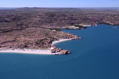 Sandee One Tree Beach