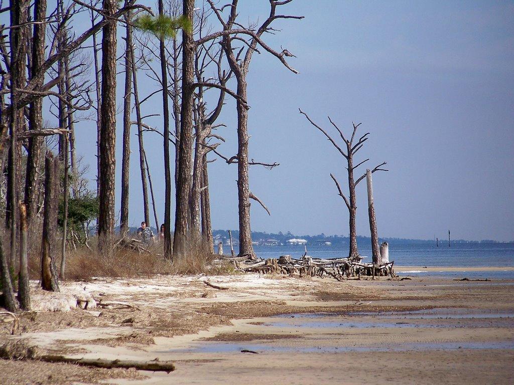 Sandee - Gulf Islands National Seashore