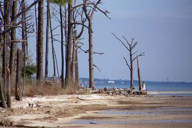 Sandee - Gulf Islands National Seashore