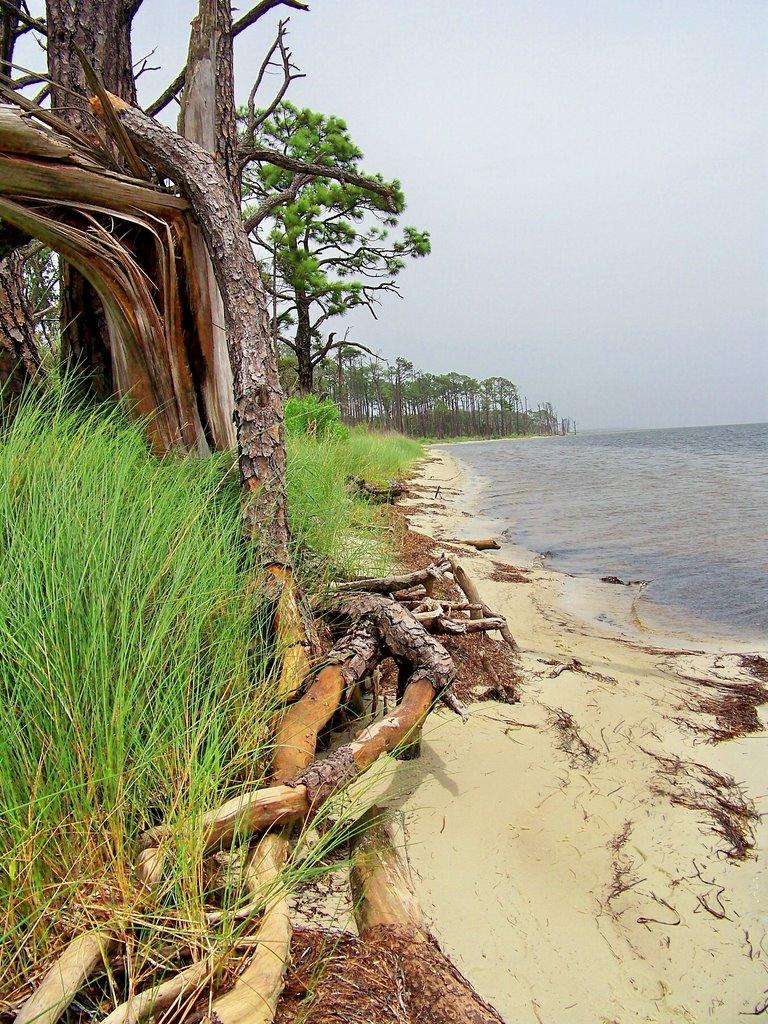 Sandee - Gulf Islands National Seashore