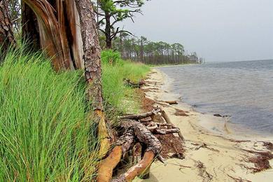 Sandee - Gulf Islands National Seashore