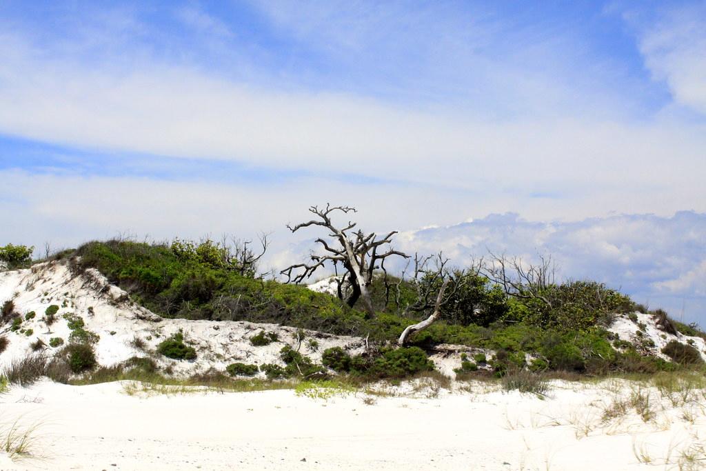 Sandee Gulf Islands National Seashore