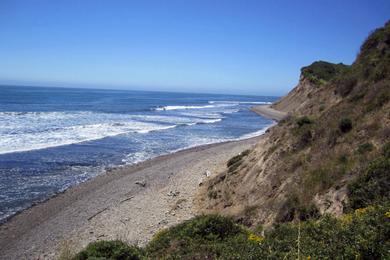 Sandee Driftwood Beach