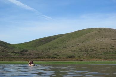 Sandee White Gulch Beach Photo