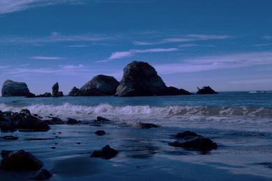 Sandee - Sand Dollar Beach