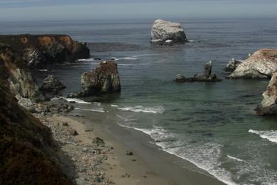 Sandee - Sand Dollar Beach