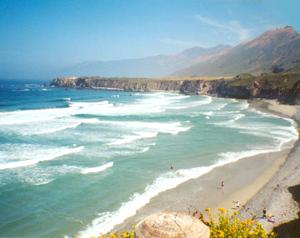 Sandee - Sand Dollar Beach