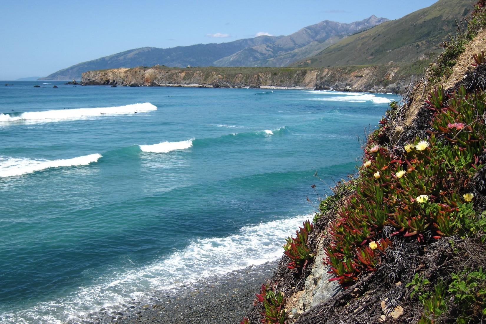 Sandee - Sand Dollar Beach