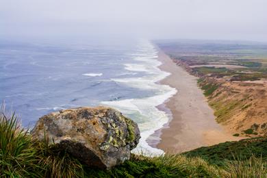 Sandee - Point Reyes Lighthouse Beach