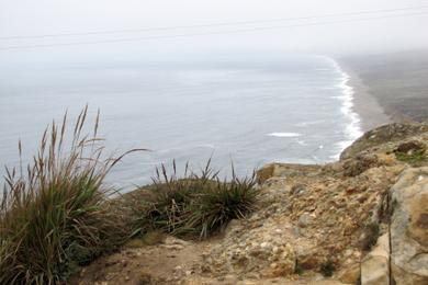 Sandee - Point Reyes Lighthouse Beach