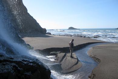 Sandee Wildcat Beach Photo