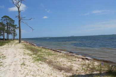 Sandee White Point Beach Photo