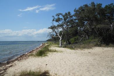 Sandee - White Point Beach