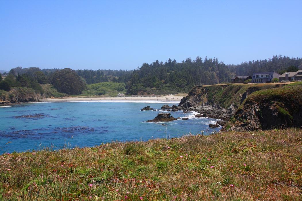 Sandee Caspar Headlands State Natural Reserve Photo