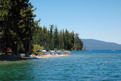 Sandee Pine Beach