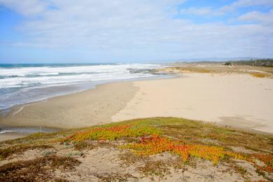 Sandee - Virgin Creek Beach