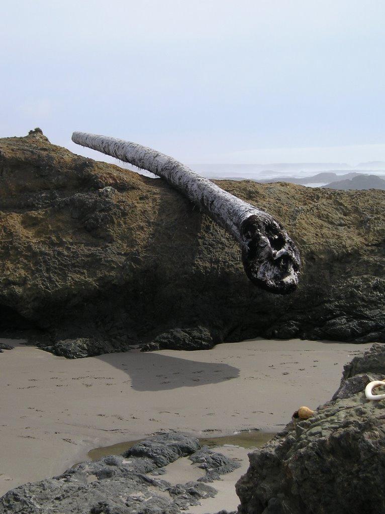 Sandee - Virgin Creek Beach