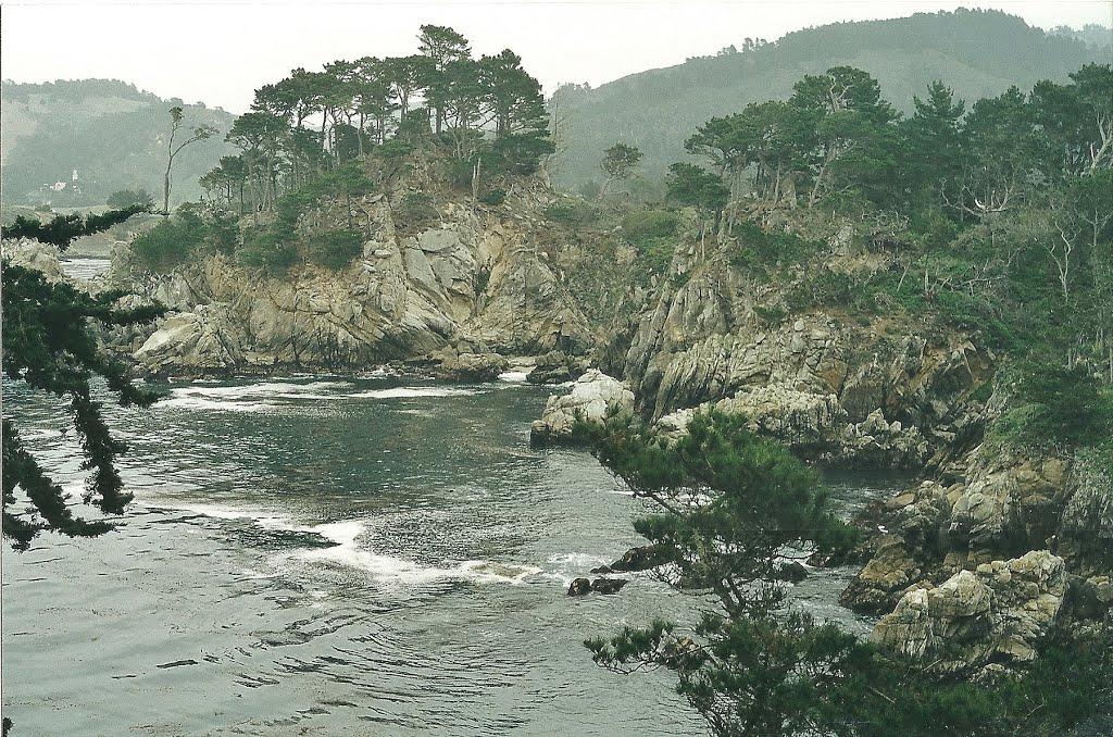 Sandee - Point Lobos State Natural Reserve - Moss Cove Beach