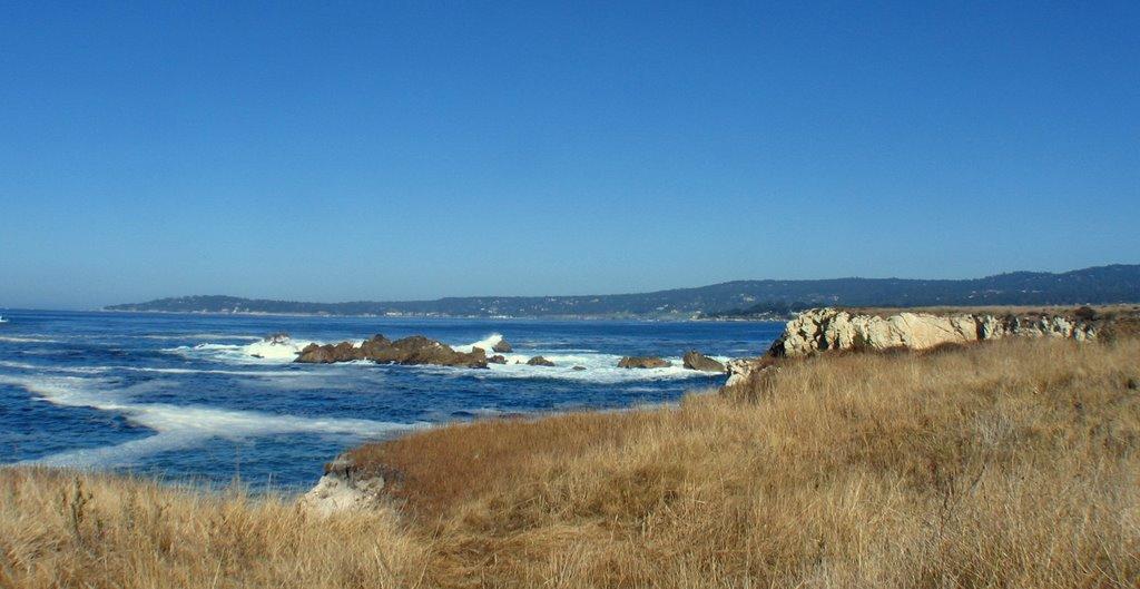 Sandee - Point Lobos State Natural Reserve - Moss Cove Beach