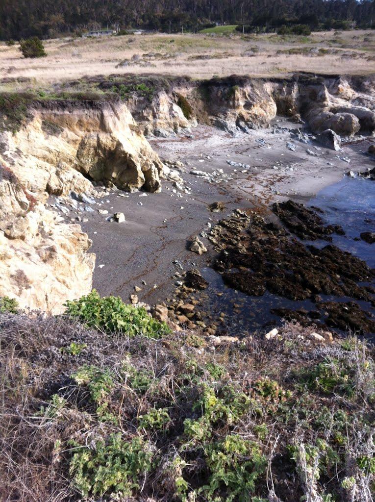 Sandee - Point Lobos State Natural Reserve - Moss Cove Beach