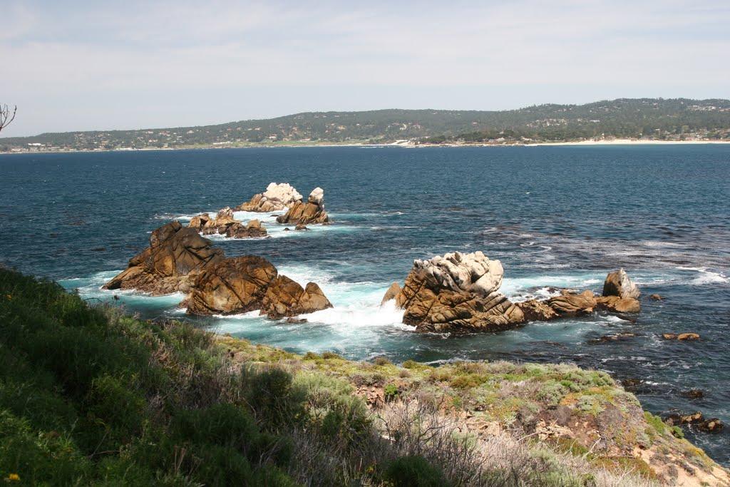 Sandee - Point Lobos State Natural Reserve - Moss Cove Beach