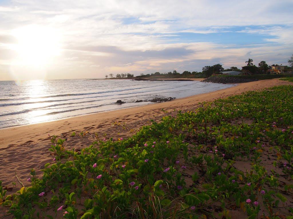 Sandee - Gove Beach