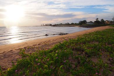 Sandee Gove Beach