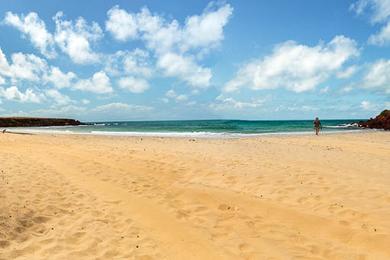 Sandee Little Bondi Beach Photo