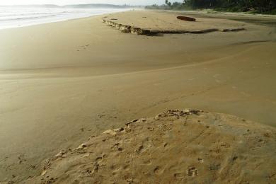 Sandee Arossim Beach