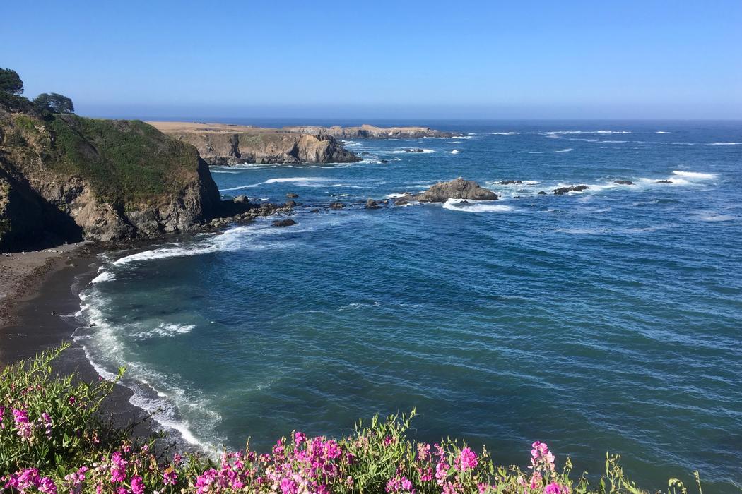 Sandee Agate Beach  Photo