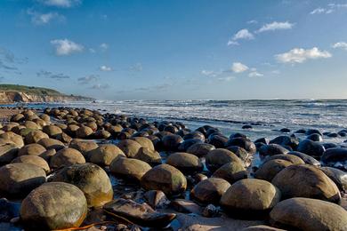 Sandee Bowling Ball Beach Photo