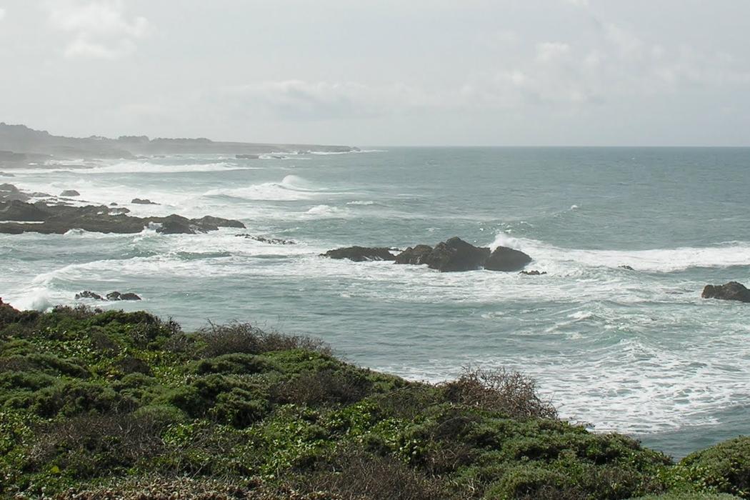 Sandee Point Arena Lighthouse Beach