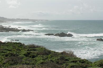 Sandee Point Arena Lighthouse Beach Photo