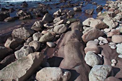 Sandee Moat Creek Beach Photo