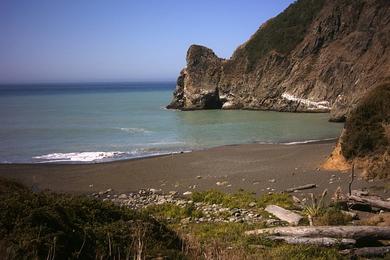 Sandee Little Jackass Creek Beach Photo