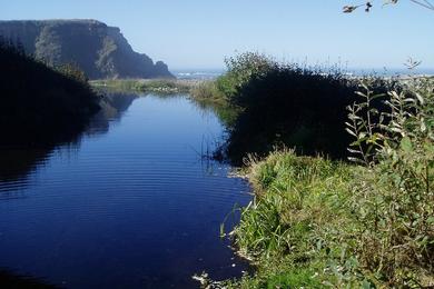 Sandee - Dehaven Creek Beach